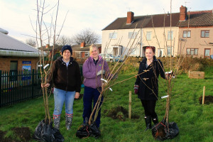 St Barnabas BTP threesome.jpg - Value in Trees
